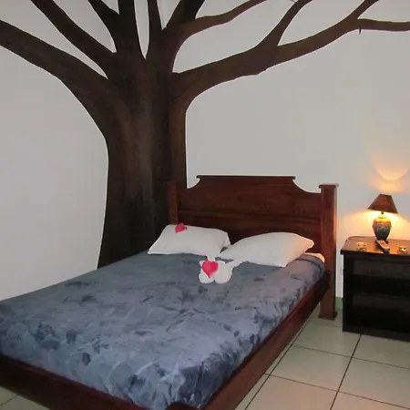 Hostel Shakti San Jose  Exterior photo